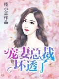宠妻总裁坏透了