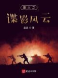 烽火之谍影风云