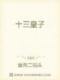 十三皇子