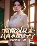 姐姐别乱来，我真不是傻子了